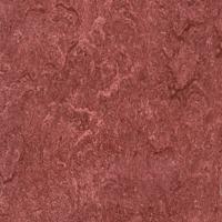 ARMSTRONG-LINO