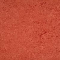 ARMSTRONG-LINO