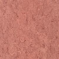 ARMSTRONG-LINO