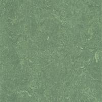 ARMSTRONG-LINO