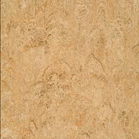 ARMSTRONG-LINO