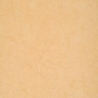ARMSTRONG-LINO