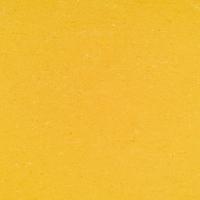 ARMSTRONG-LINO