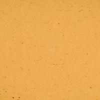 ARMSTRONG-LINO