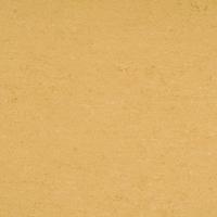 ARMSTRONG-LINO